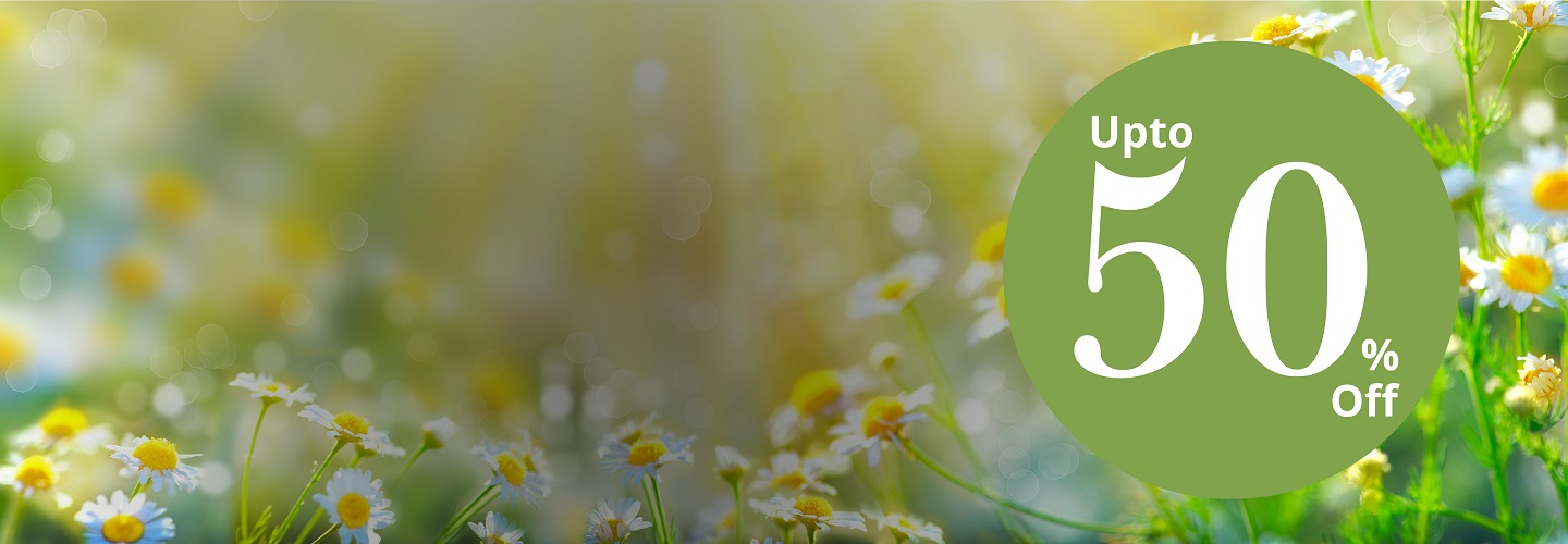 First Responsive Image